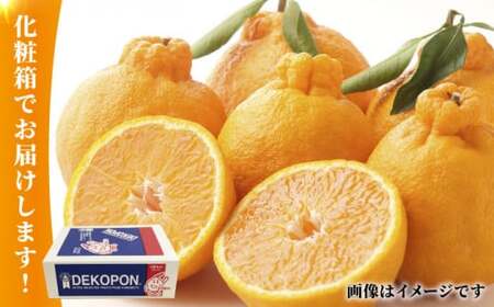【先行予約】デコポン 約2kg【かきやま果実】 でこぽん 果物 フルーツ 柑橘 熊本県産デコポン [ZCJ001]