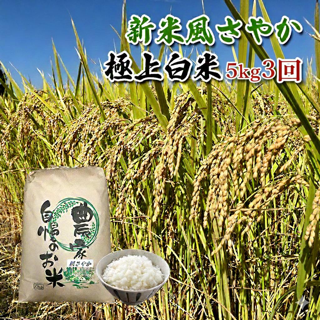 
            【定期便/農家直送】長野県産「風さやか」（5kg×3回）【栄屋ファーム】 お米 3ヶ月 計15kg [№5659-1253]
          