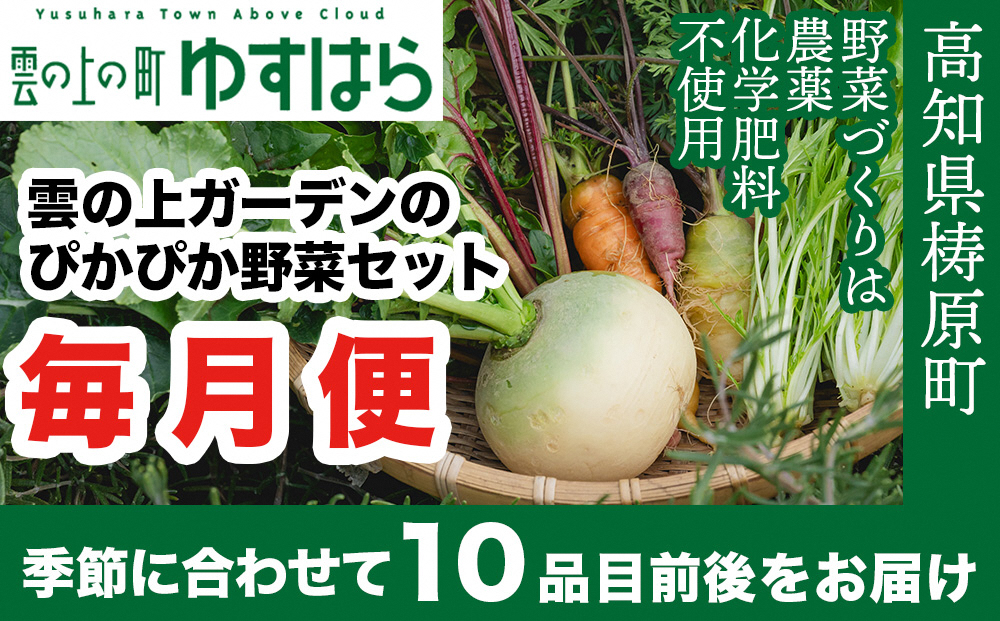 
            農薬化学肥料不使用 雲の上ガーデンのぴかぴか野菜セット（５回お届け）季節にあわせて10品目前後を毎月お届け【L002】季節 旬 詰め合わせ 採れたて 新鮮 産地直送 高知県産 冷蔵便 定期便
          