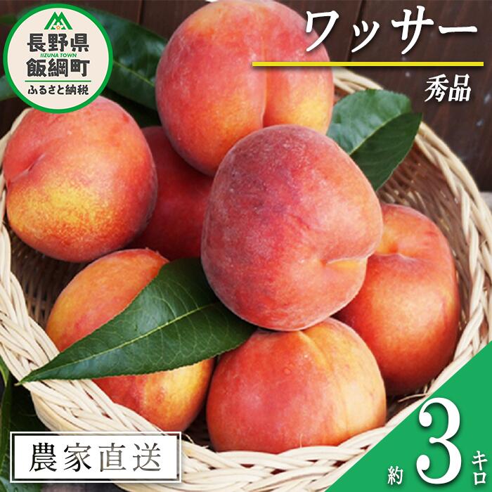 【ふるさと納税】 もも 完熟 ワッサー 秀品 3kg サイズおまかせ 井澤農園 配送先は本州限定 令和7年度収穫分 エコファーマー認定 長野県 飯綱町 〔 信州 果物 フルーツ モモ 桃 長野 18000円 予約 農家直送 〕発送時期：2025年8月上旬〜2025年9月上旬