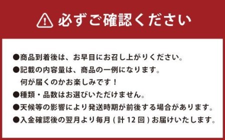 E16 【定期便12回】 季節の 旬野菜 ・ 果物 セット 詰め合わせ