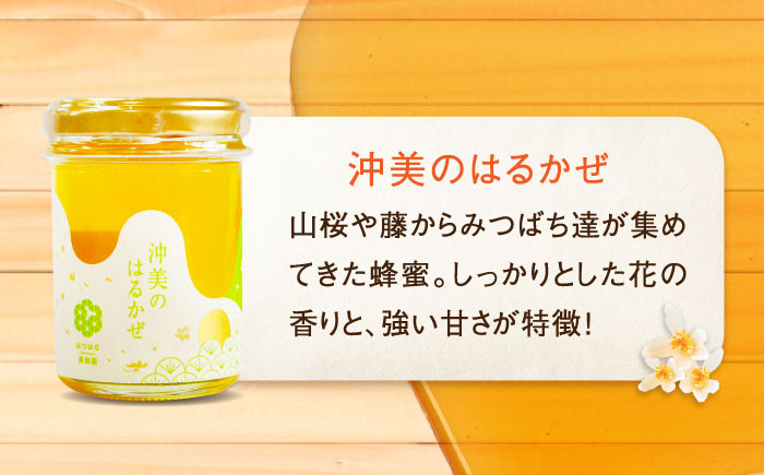 江田島産100％ はちみつ 2種食べ比べセット（120g×3本） ハチミツ 蜂蜜 国産 広島 江田島