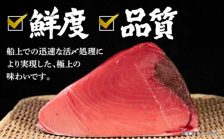 本マグロ切り落し 400g 1個80g 小分け 赤身 トロ 中トロ