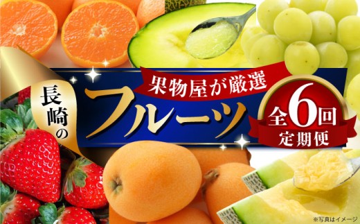 【全6回定期便】【偶数月のみお届け】果物屋が選ぶ 長崎のフルーツ定期便 長崎県/贅沢宝庫 [42ACAF019]フルーツ いちご ビワ メロン シャインマスカット 旬 新鮮 セット 長崎 人気 国産 特産 取り寄せ 定期便