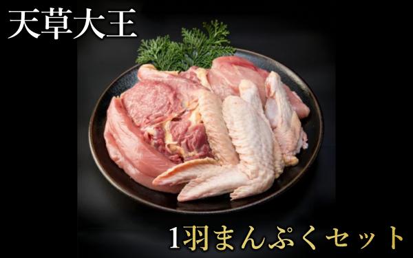 
                  幻の地鶏 天草大王 1羽 まんぷくセット 鶏肉 約1.4kg（ 鶏もも肉 鶏むね肉 ササミ 手羽元 手羽先 ） 希少 大容量 小分け 鶏肉 冷凍 お取り寄せ グルメ 国産 熊本県 水上村
                