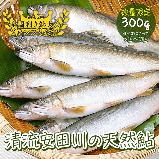 【ふるさと納税】清流安田川の天然鮎（冷凍） 川魚 魚介 あゆ お取り寄せグルメ 塩焼き 甘露煮 鮎めし お中元 お歳暮 母の日 父の日 高知県 馬路村 【481】