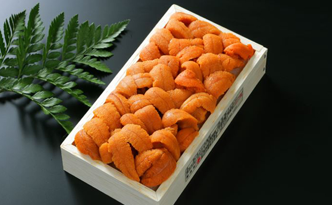 極上エゾバフンウニ折詰100g・塩水パック100g食べ比べセット≪配送期間B≫2022年6月上旬～8月中旬迄
