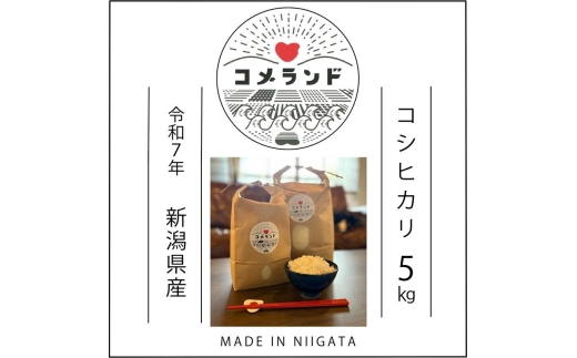 【令和8年8月下旬発送】令和7年産 新潟県上越市産 コシヒカリ 5kg 5キロ 精米 新潟県上越市板倉区 コメランド こしひかり