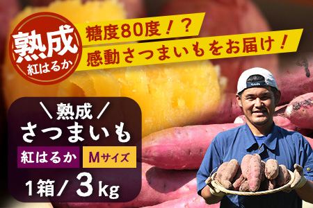 【鹿児島県産】熟成 紅はるか 3kg (1箱 ) Mサイズ さつまいも【2025年11月下旬より順次発送】FR-313
