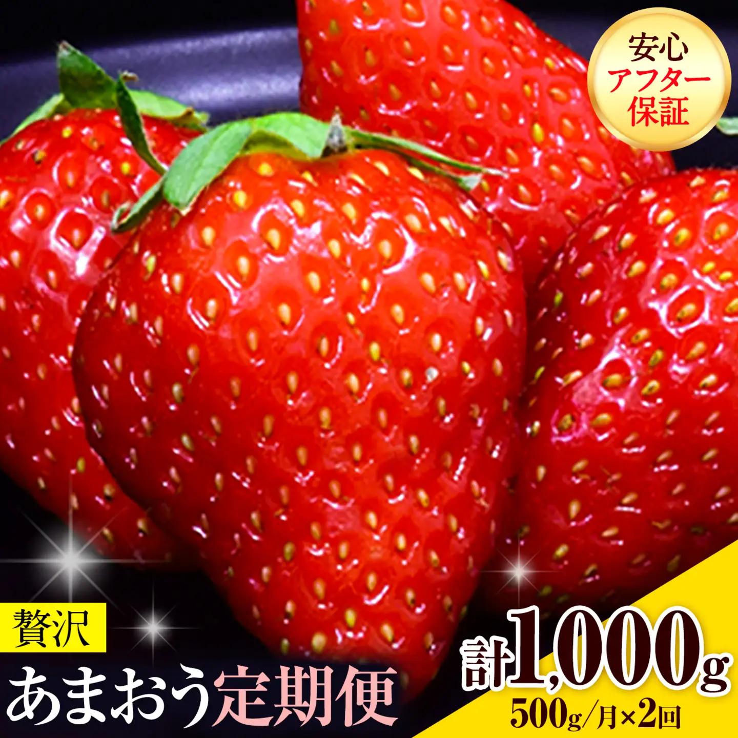 【2ヶ月定期便】あまおう 500g いちご《2027年3月・4月頃出荷予定》【配送不可地域：離島】