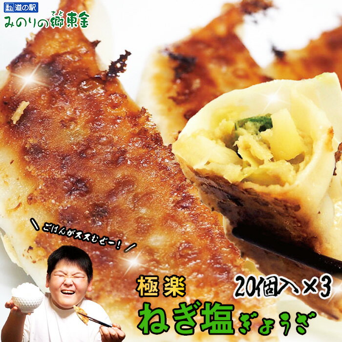 【ふるさと納税】No.343 東金極楽ねぎ塩ぎょうざ3袋セット　20個入×3 ／ 餃子 惣菜 ギョウザ ギョーザ 中華 ネギ塩 にんにく おつまみ 手軽なおかず 夕飯 昼食 レストランの味 東金市 千葉県 送料無料 千葉県