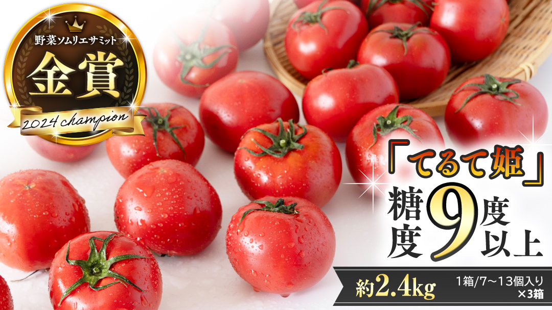 《 テレビで紹介 》【 2026年収穫分 先行予約 】 糖度9度以上 スーパーフルーツトマト てるて姫 小箱 約800g × 3箱 【7?13玉/1箱】 フルーツトマト ブランドトマト 野菜 ギフト 贈答 青空レストラン アド街ック天国 グッドモーニング 黄金のワンスプーン [BC037sa]