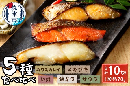 a15-377202512　【2025年12月お届け】 魚心漬 5種10切