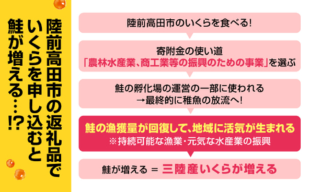 ＼ESSEグランプリ金賞受賞／ 国産 いくら ( 鮭卵 ) 醤油漬け 400g ( 200g×2パック ) 【 お届け日が選べる 小分け 冷凍 いくら丼 海産 海鮮丼 お祝い 天然 鮭いくら 】