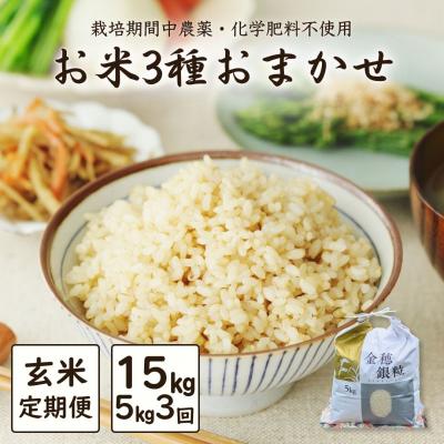 ふるさと納税 南相馬市 【定期便】白米おまかせ3品種 令和7年産 新米 5kg×3か月 | コメ 米5kg 大粒 みさき未来