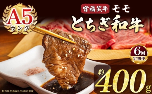 【定期便6回】宮福笑牛(とちぎ和牛) A5 モモ焼き肉 約400g  | 定期便 牛肉 和牛 焼き肉 やきにく 焼肉 焼肉用 モモ肉 もも肉 モモ もも 旨味 美味しい 肉 お肉 栃木県共通返礼品（栃木県産） 栃木県 真岡市