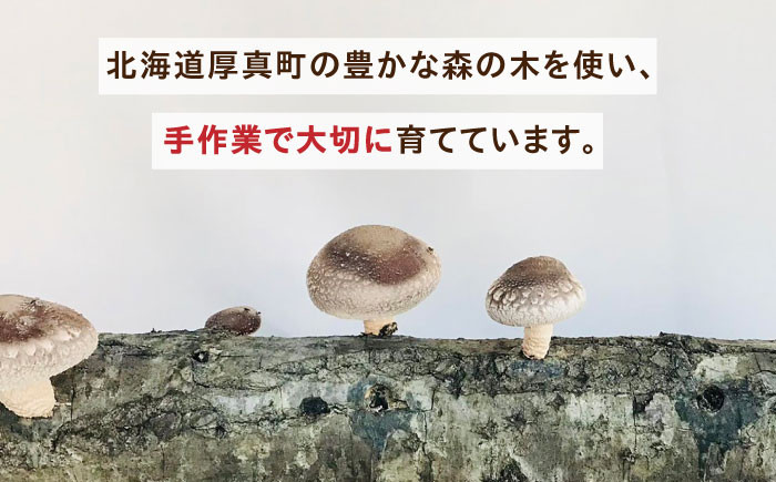 生 しいたけ 椎茸 きのこ キノコ 小分け 北海道 