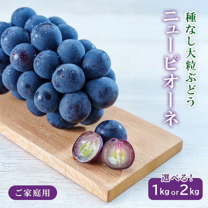 【ふるさと納税】岡山県産 ぶどう 葡萄 ブドウ 種無し 果物 スイーツ フルーツ お取り寄せ 家庭用 訳あり デザート 井原市美星町産ニューピオーネ（ご家庭用）【2026年8月下旬～9月下旬発送予定】