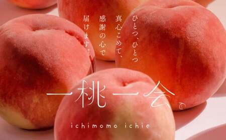 旬の桃 伊達市産 どれが届くかお楽しみ白桃 1kg（3～5玉）2024年7月上旬～2024年8月下旬出荷 伊達の桃 桃 もも モモ 名産品 果物 くだもの フルーツ 国産 産地直送 F20C-946