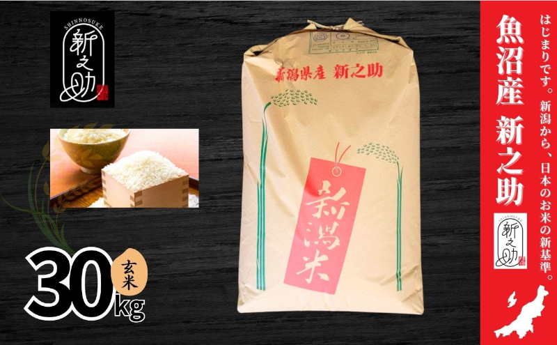 【令和7年産】魚沼産新之助(玄米)30kg 米 お米 玄米 しんのすけ 中魚沼 新潟県 十日町市