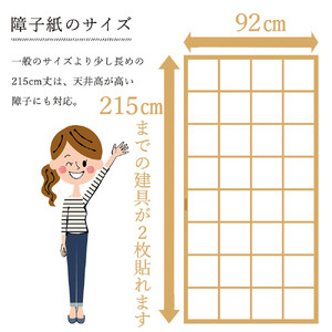 令和の障子紙（北欧2枚）と両面テープセット【サイズ：92cm×215cm 強度５倍 簡単 張替 お洒落】