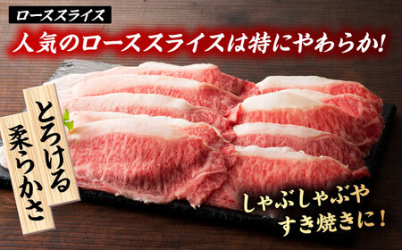 【6回定期便】くまもと黒毛和牛「藤彩牛」サーロインステーキと2種の食べ比べ  3903【有限会社 スイートサプライなかぞの】[ZDT140]