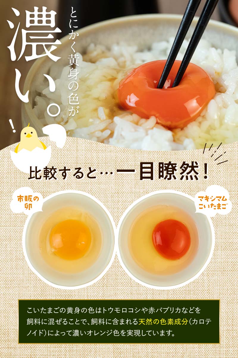 【TVで話題沸騰！】とにかく黄身が濃いたまご「マキシマムこいたまご」30個入り 伊達市 福島県 国産 MS～LLサイズ 卵 たまご 玉子 生卵 鶏卵 F21C-479 30個