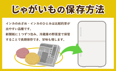インカのめざめ 5kg じゃがいも 飯山農場《9月中旬-3月上旬頃出荷》芋 ジャガイモ 野菜 送料無料 北海道 浦幌町 