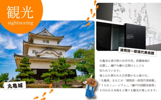 【先行予約】みかん 約10kg 柑橘 ミカン 蜜柑 オレンジ 果物 くだもの フルーツ 果実 ギフト 贈答用 プレゼント 11月～ 順次発送 香川県 丸亀市