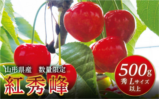 FYN9-602 《2026年先行予約》山形県産 さくらんぼ 紅秀峰 500g 秀 L以上 バラパック詰め 2026年6月中旬から順次発送 果実 果物くだもの フルーツ 桜桃 サクランボ 化粧箱 贈り物 ギフト 贈答用 家庭用 自宅用 産地直送 山形県 西川町 月山