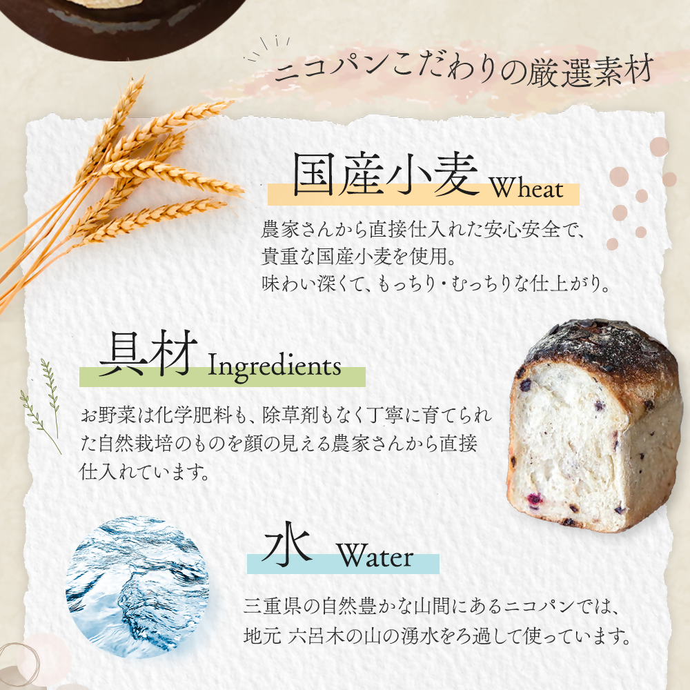 カラダヨロコブ天然酵母のニコパンセットA  NP-01_イメージ3