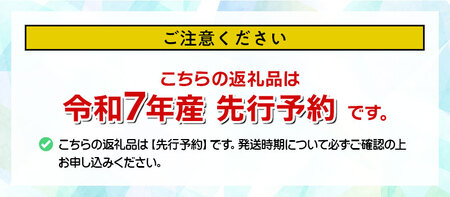 【令和7年産先行予約】【冷凍】月山高原のオーガニックブルーベリー(大粒・600g)　K-742