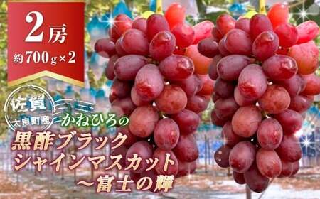 かねひろの黒酢ブラックシャインマスカット～富士の輝き （計2房／約700g以上） 【2026年9月中に順次発送予定】 ブラックシャインマスカット 葡萄 ぶどう ブドウ 果物 くだもの フルーツ 国産フ