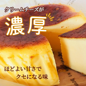 【定期便-6回お届け】バスクチーズケーキ ～四万十の米粉入り～ ／Sbmu-B59