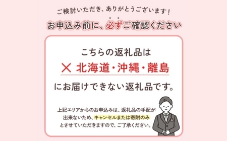＜1月より発送＞厳選 柑橘詰合せ2.5kg+250g（傷み補償分）◇【有田の春みかん詰め合わせ・フルーツ詰め合せ・オレンジつめあわせ】【光センサー選別】 ※北海道・沖縄・離島への配送不可 ※2026年