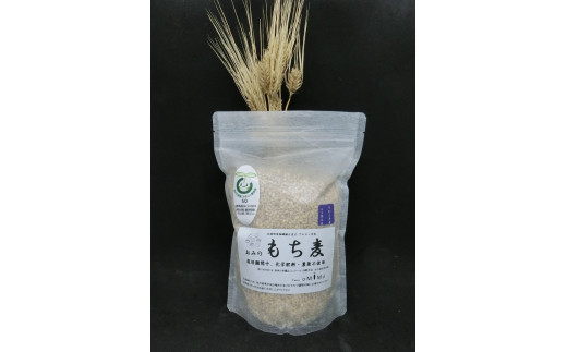 
もち麦 1.5kg 長野県産 ホワイトファイバー 栽培期間中 化学肥料 農薬不使用 おいしく 健康的 キレイの素 環境にやさしい 信州匠選
