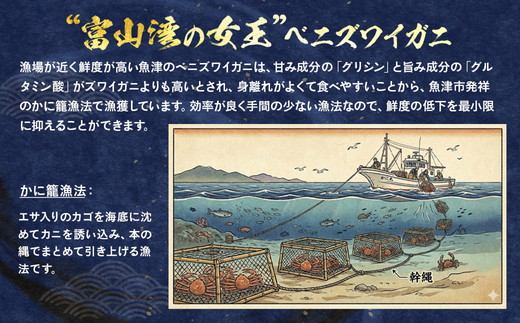 【冷凍】魚卸問屋の紅ズワイガニむき身（棒身400ｇ・ミックス400g）合計約800g ※北海道・沖縄・離島への配送不可 ※2025年9月下旬～2026年5月中旬頃発送予定◇