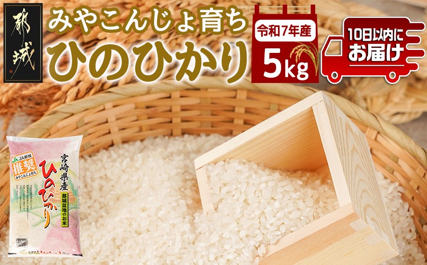 みやこんじょ育ち都城産ひのひかり5kg≪みやこんじょ特急便≫_21-K701-Q