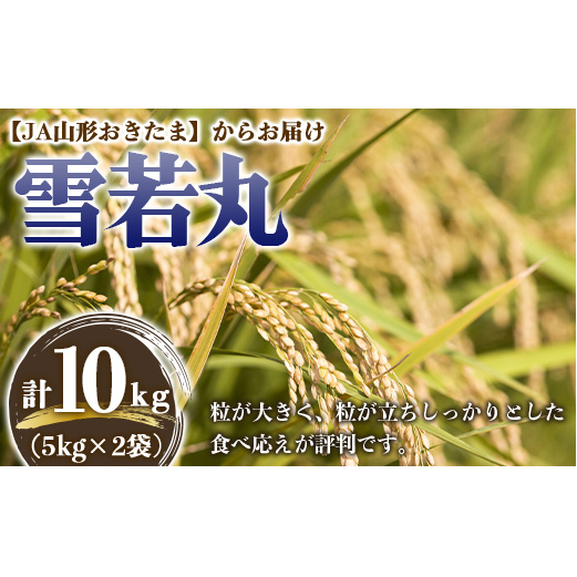 JA 雪若丸 10kg (5kg×2袋) 『JA山形おきたま』 山形県産 米 精米 山形県 南陽市 [843] 