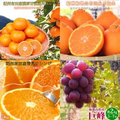 ふるさと納税 有田川町 【発送月固定定期便】紀州和歌山産旬の果物セット(みかん・不知火・清見・巨峰)全4回