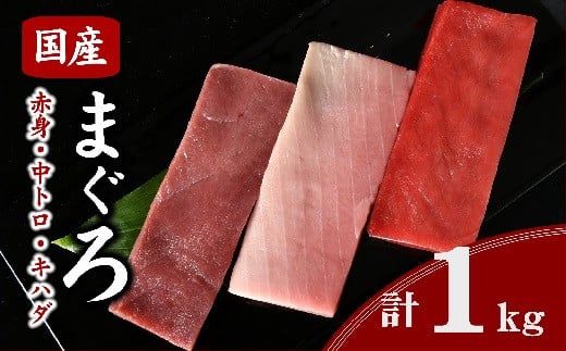 国産マグロ 食べ比べセット 約1kg ( まぐろ マグロ 鮪 本マグロ キハダマグロ 赤身 中トロ 刺身 刺し身 お刺身 小分け 短冊 便利 冷凍 まぐろ刺身 国産まぐろ キハダマグロ 中とろ トロ 人気 おすすめ セット 食べ比べ 三重県 松阪市 ) 【2.5-5】