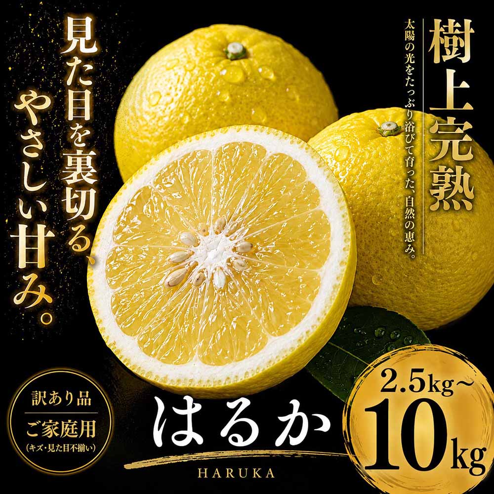 【ふるさと納税】＜上品な甘さ 愛媛県産はるか 合計約2.5／5／7.5／10kg＞『2027年2月上旬～3月中旬迄に順次出荷予定』 選べる 訳あり まろやかな甘み ミカン 蜜柑 希少 ご家庭用 果汁 果物 くだもの フルーツ オレンジ 柑橘 人気柑橘 特産品 極尽道 愛媛県 西予市 【常温】