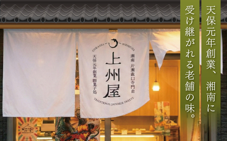 【もなか】 8個入 富士山と江ノ島もなか 和菓子