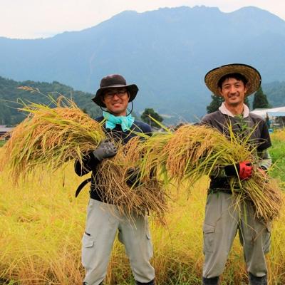 ふるさと納税 南魚沼市 南魚沼産コシヒカリ　白米5kg 【栽培期間農薬を減らして作ったお米】令和6年産　 |  | 01