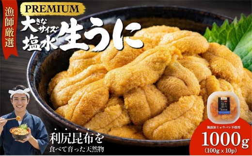 【2026年発送受付】漁師厳選！利尻天然うに”プレミアム”ムラサキウニ 1kg塩水パック【2026年6～8月発送分】｜北海道 天然 朝獲れ 塩水ウニ 無添加 ミョウバン不使用 [1060080]