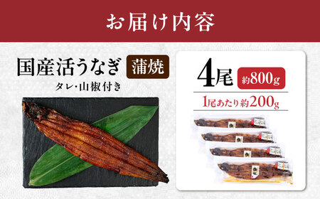 【 蒲焼き 】国産活うなぎ4尾[AQDF009]  蒲焼き