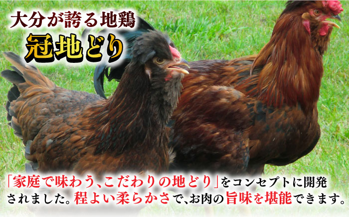 おおいた冠地どり鳥すきセット（2～3人前）  日田市 / 株式会社OTOGINO [AREF034]