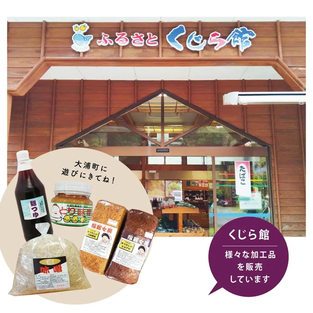 手作りめんつゆ ストレートタイプ 500ml×6本 【大浦町農産加工組合 】 麺 そうめん そば 蕎麦 うどん 天つゆ 煮物 ストレート 調味料 かつお節 鰹 昆布 だし 常温 加工食品 南さつま市
