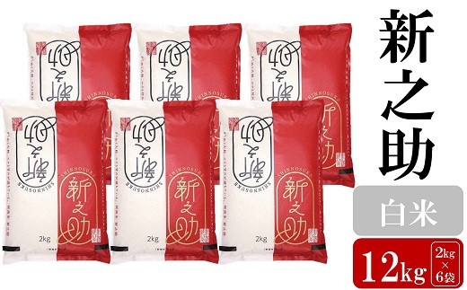 
            【令和7年産新米】新之助 白米 12kg（2kg×6袋）お米と共に200年の松村商店直送！[Y0172]
          