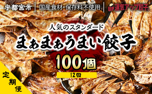 
『定期便』宇都宮餃子　まあまあウマイ餃子100個　保存料不使用　全12回【配送不可地域：離島】
